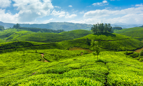 Munnar