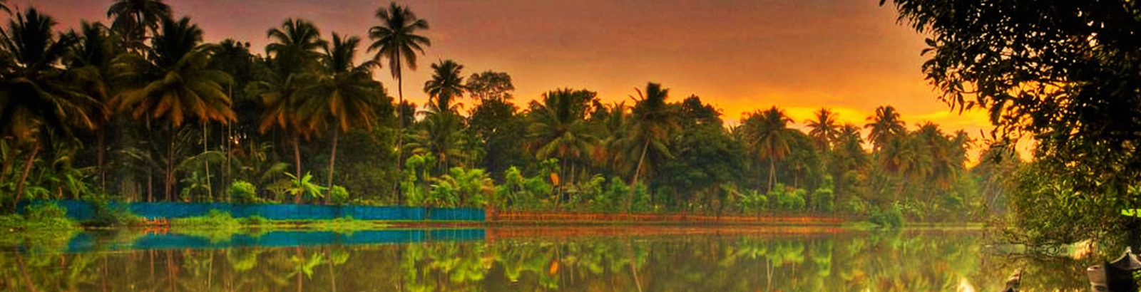 LTC Kerala