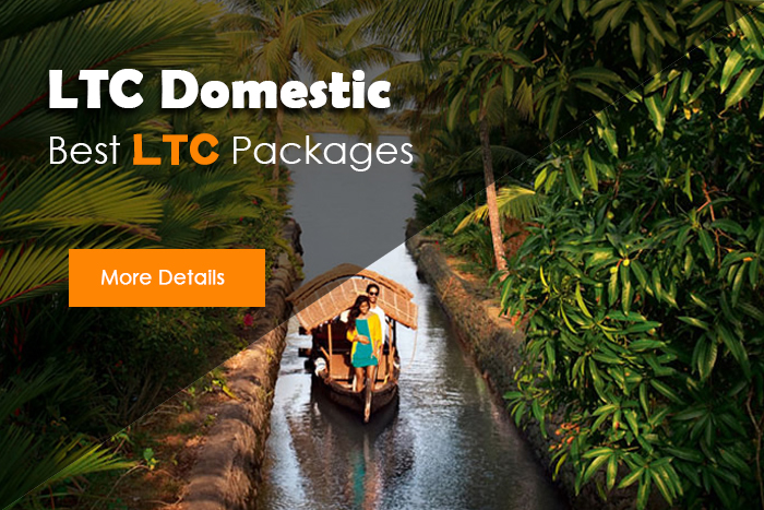 ltc-domestic