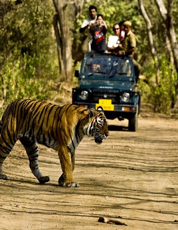 Uttarakhand Tours 