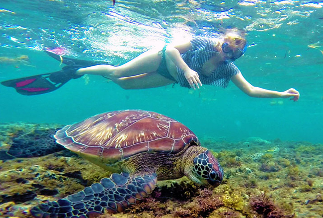  Pattaya – Coral Island Tour with Lunch 